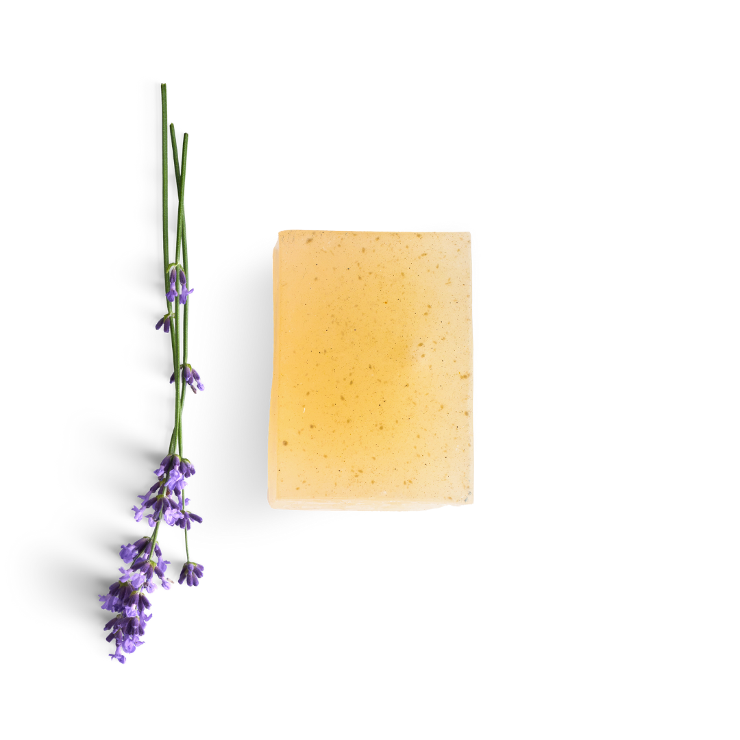 All Natural Organic Moringa Glycerin Soaps 4 Oz Soap Bars.