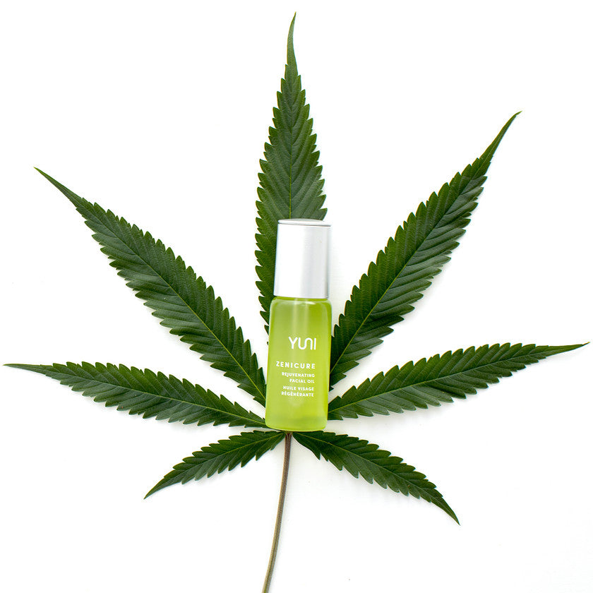 ZENICURE Rejuvenating Facial Oil