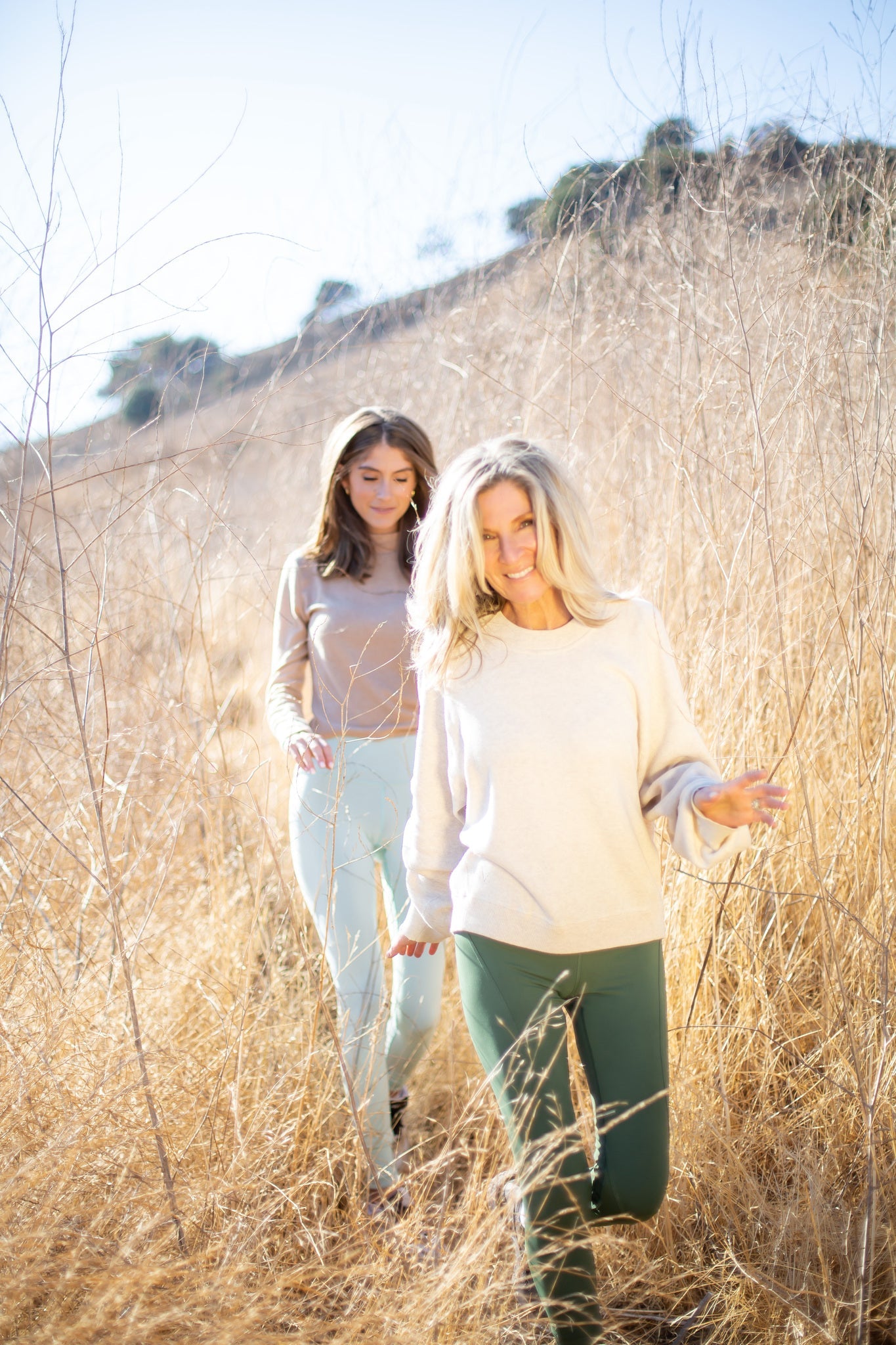 Premium Organic Moringa Oleifera leaf Powder in Vegan Capsules