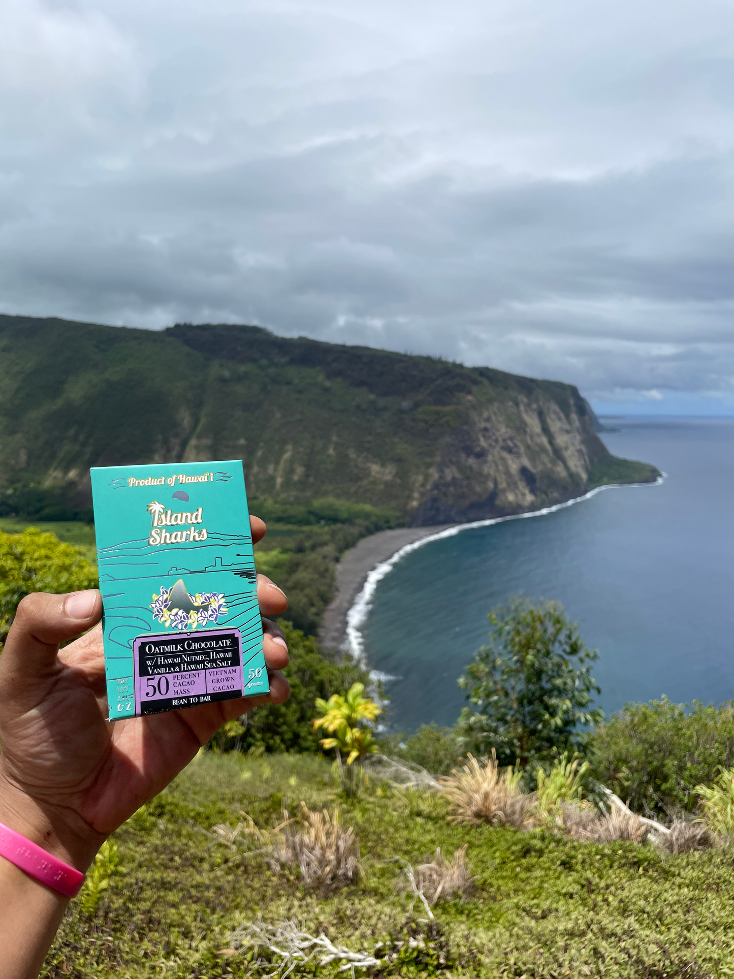 72% Ben Tre (Vietnam) Oatmilk Chocolate w/ Hawaii Nutmeg and Saigon Cinnamon Bar