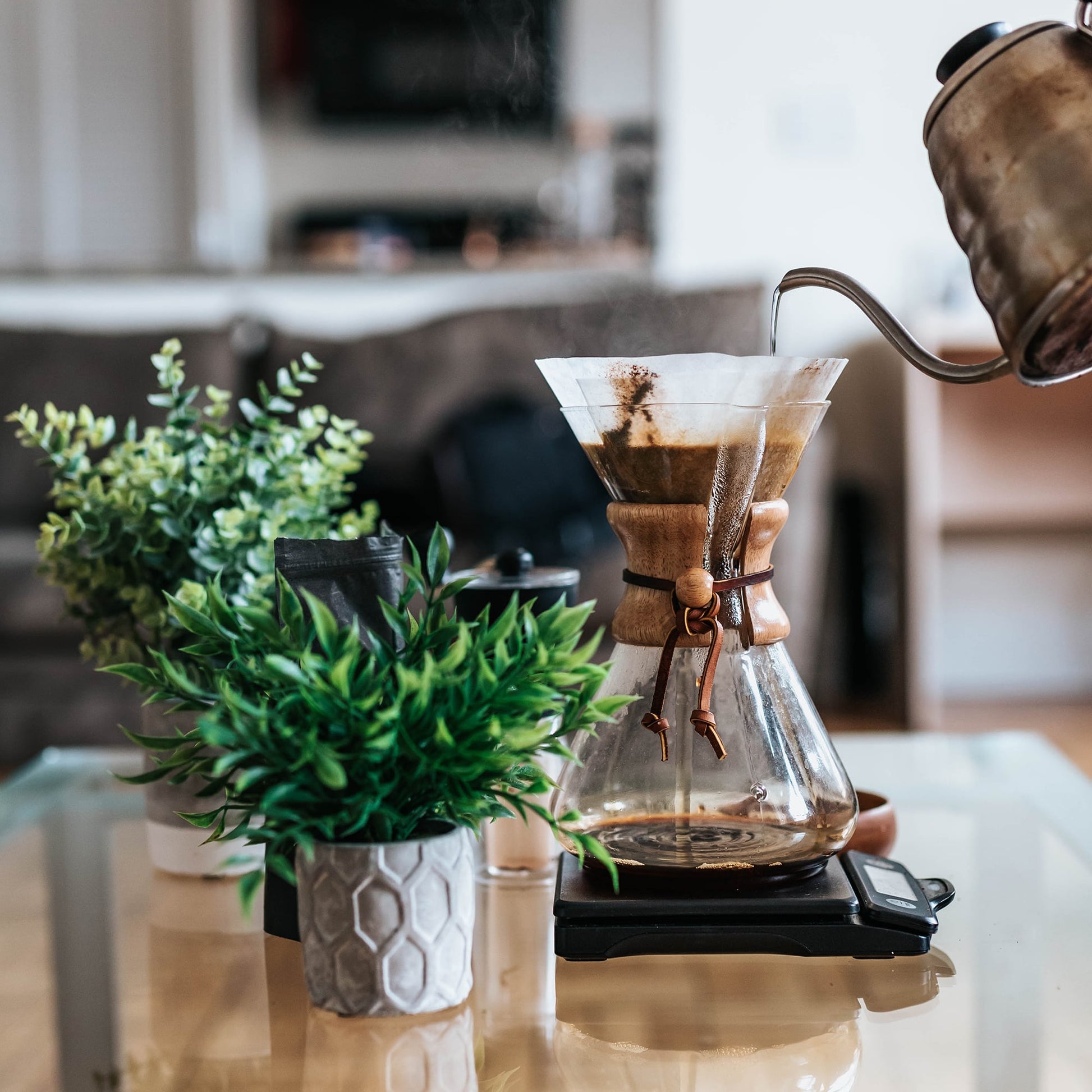 Ayurvedic Roast - Organic Coffee Substitute, Caffeine Free Grain Coffee with Barley Chicory Ashwagandha Brahmi - Caramel-1