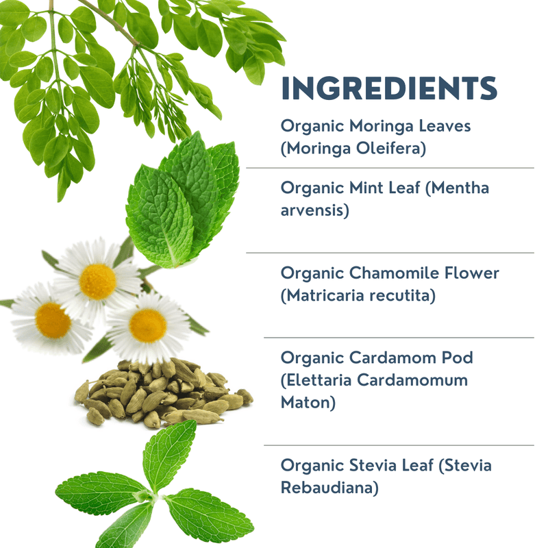 Premium Organic Moringa Leaf, Mint and Chamomile Herbal Tea