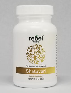 Shatavari Dual Extracted Powder