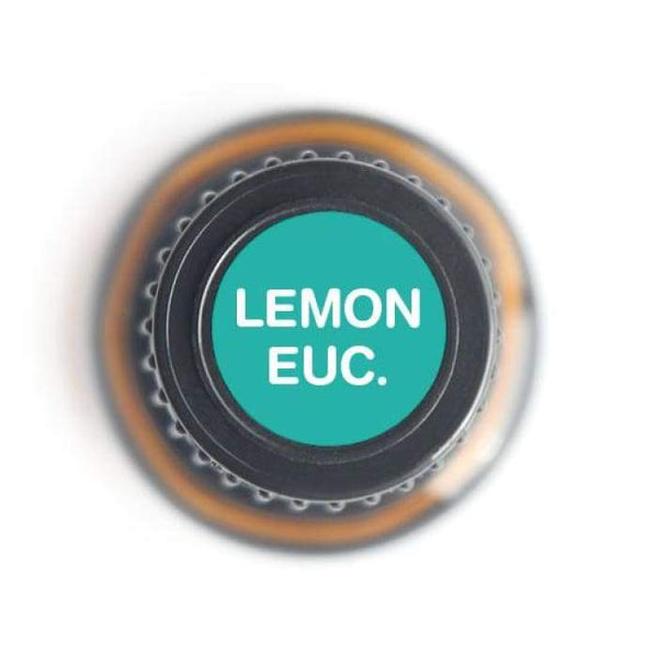 Lemon Eucalyptus Pure Essential Oil - 15ml
